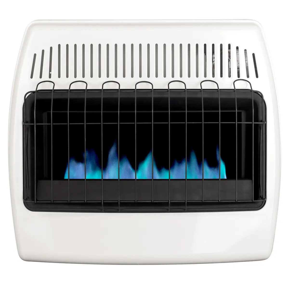 DYNA-GLO 30K BTU Dual Fuel Vent Free Heater