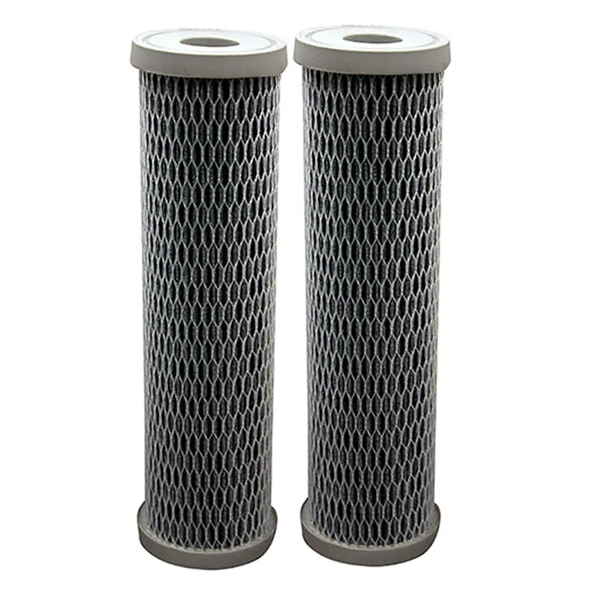 PENTAIR OMNIFILTER 2-Count 10" 10 Micron Replacement Non-Cellulose Carbon Cartridge